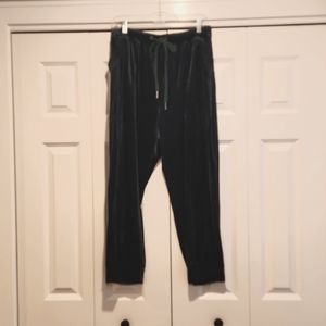 Anthropologie Emerald Green Velvet Joggers